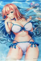 【中古】タペストリー クラディウス・デ・アトラスティア 描き下ろしB2タペストリー 「Switchソフト 悠久のカンパネラ」 ソフマップ購入特典