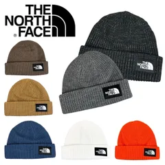 ザ ノースフェイス ビーニー ニット帽 帽子 ボックスロゴ メンズ レディース NF0A3FJW ニットキャップ THE NORTH FACE SALTY LINED BEANIE