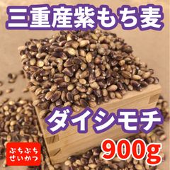 もち麦 ダイシモチ 三重県産 紫もち麦 900g