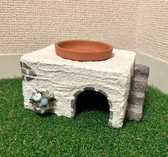 爬虫類　シェルター　地中海