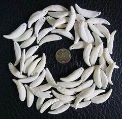 羽を広げた ルーセットオオコウモリの骨格標本 即納☆ 羽を広げた ルーセットオオコウモリの骨格標本 - 頭骨