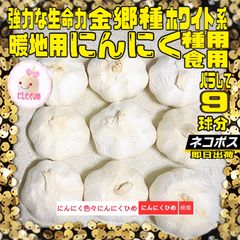 9球分　金郷種　最強かも？　食用兼用　バラシて即出荷　にんにくひめ　にんにく