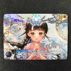 俺たちの守るべきもの ExP ExP BP02-101 ウルトラマンカードゲーム