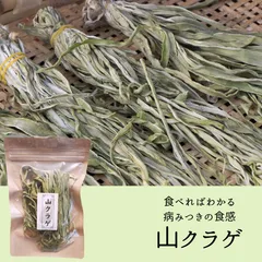 茎レタス 中国紅莴笋 種 1000粒 茎レタス 中国紅莴笋 種 1000粒 m15993502118_1.jpg?1725403779