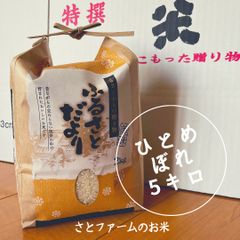 令和6年産　ひとめぼれ　5キロ