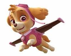 スカイショップ