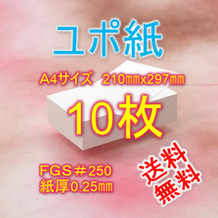即発送 ユポ 合成紙 A4 厚手 （厚さ0.25mm）選挙の投票用紙と同じ素材　アルコールインクアート お風呂ポスター　破けない紙 ユポ紙