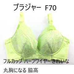 大きいサイズ 至福のソフトワイヤー フルカップブラ G100 H100 F105