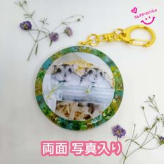 【再販】【１点限り】【おまけ付き】レジンキーホルダー  両面写真入り ハンドメイド ハムスターといっしょ だいきち&モンきち「ブロッコリーの葉」お花畑バージョン