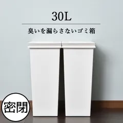 アスベル エバンMP密閉プッシュペール 30L ゴミ箱 ダストボックス おしゃれ 45リットル対応 分別 キッチン プッシュ式 密閉 臭わない 袋が見えない 30リットル スリム ふた付き ペットボトル サニタリー ゴミ袋ホルダー ペット いたずら防止 生ごみのサムネイル