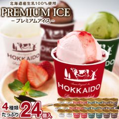 訳あり アイス アイスクリーム 北海道生乳100%使用 プレミアムアイス.BUONO 24個（4種×6個）.詰め合わせセット 【S21】【S】