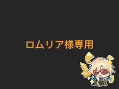 お客様専用ページ