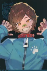 【中古】シール・ステッカー Wokka ステッカー ノーマル(アップ) Crazy Raccoon チップス 特典