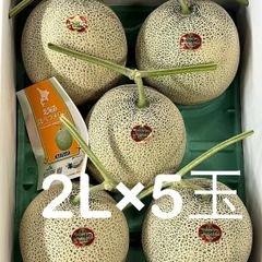 食品 【さかなちゃん様専用】夕張メロン共撰品秀品5玉 1玉