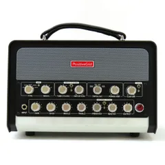 期間限定値下中　 POSITIVE GRID BIAS DELAY 中古完動品 Positive Grid BIAS Delay Twin - 「BIAS Delay」を2フット