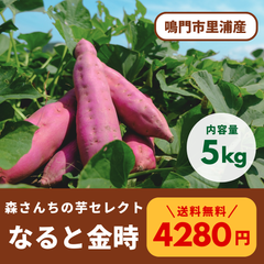 なると金時さつまいも 【5kg】徳島県鳴門市里浦産 生産者直送 森さんちの芋セレクト