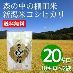 森で育ったお米 新潟米コシヒカリ 20キロ白米 新潟産 令和4年産