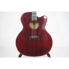 2025年最新】takamine ハードケースの人気アイテム - メルカリ
