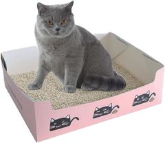 Item thumbnail for item 48ddf601-3aa7-4e10-9827-71a14712b3f5