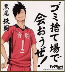 【中古】紙製品(キャラクター) 黒尾鉄朗 「ハイキュー!! セカンドシーズン ビジュアル色紙コレクション2」