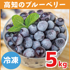【2023年収穫・冷凍】高知県産 太陽の恵み さんさんブルーベリー 5kg