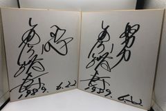 【相撲サイン】琴稲妻 直筆 努力 忍 ２枚セット