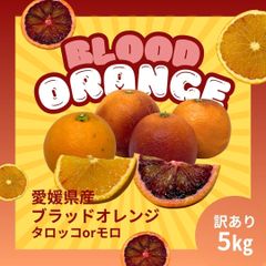 愛媛産　ブラッドオレンジ　訳あり　5キロ　モロ　タロッコ
