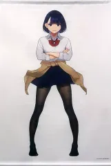 【専用出品】よむタイツ palette  タペストリー付き Amazon.co.jp: しま×タイツ B2 タペストリー 40原先生 よむ先生 タイツ