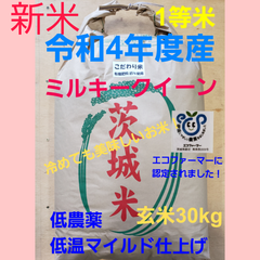 新米　令和4年度産　 茨城県稲敷市産　 ミルキークイーン 玄米30kg