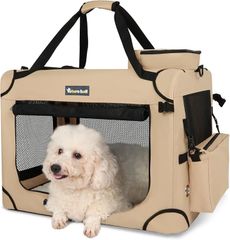 Item thumbnail for item 099266b4-1f67-4ba2-be37-5df19bd0883a