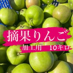 摘果りんご　ジョナゴールド　加工用約10キロ!