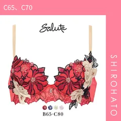 27％OFF【SHIROHATO公式】【正規品・新品】ワコール Wacoal サルート Salute 23AW 96G BTJ496 P-UP プッシュアップ ブラジャー BC 単品 シーズン(C65、C70)