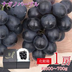 送料無料 ナガノパープル 1房 化粧箱 長野県 長野 長野県産 岡山県産 贈答品 ギフト 1房 贈答用 ギフト用 ご家庭用 ブドウ ぶどう お中元 暑中見舞い ギフト