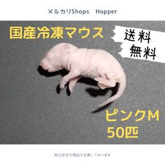 国産冷凍マウス ピンクM 50匹(送料無料一部地域発送不可) - メルカリ