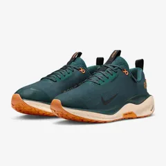 NIKE ナイキ インフィニティラン 4 GORE-TEX　メンズ 防水 ロード ランニングシューズ　ランニング シューズ　FB2204-300　ディープジャングル　★24300のサムネイル
