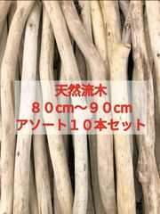 【送料無料】南信州産 天然流木 まがり屋流木 枝流木 アソート（８０cm以上９０cm未満） 【１０本セット】まとめ売り セット販売淡水流木 川流木 流木格安販売 流木卸売