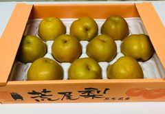 熊本県産 梨 約5kg 箱込み 6~18玉  優品  訳あり【002】家庭用 幸水 豊水 あきづき 新高 なし 果物 くだもの  果物 フルーツ 発送予定日 8月下旬