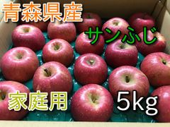 青森県産りんご「サンふじ」家庭用 キズ有 約5kg【産地直送・光センサ選果】