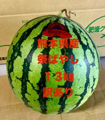 【産地直送・訳あり・６／１１以降発送可】熊本県産大玉スイカ　祭ばやし　１３～１４ｋｇ　訳あり品　優品
