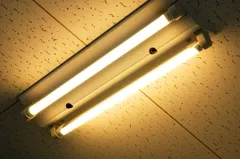 【送料無料】 1本 直管型LED 蛍光灯 RY-T8-202 3000K 約60cm 20W形 N