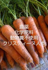 自然栽培で育てたアロマレッド人参宅急便コンパクト1.2Kg