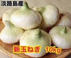 【お買い得】淡路島産 新玉葱 Lサイズ 10kg     ★9