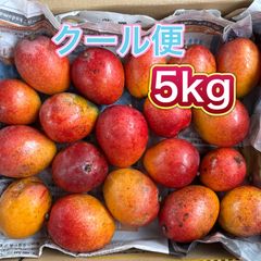 沖縄県産 漬物用 青マンゴー・グリーンマンゴー2kg - メルカリ
