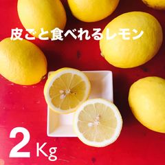 皮ごと食べれるレモン　湘南レモン　ノーワックス　2kg