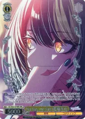 ヴァイスシュヴァルツ シャイニーカラーズ SMASH 斑鳩ルカ sp2枚 ヴァイスシュヴァルツ シャイニーカラーズ SMASH 斑鳩ルカ sp2枚