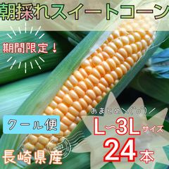 まごころ野菜・野口畑【長崎県産】 - メルカリShops