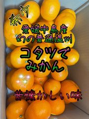 昔ながらの味　コタツでみかん