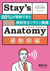 Anatomy Trains セミナー 2010～理論と脊柱上肢へのアプローチ