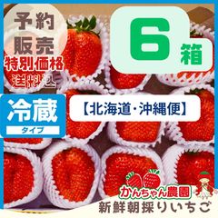 クール便⑥箱【北海道・沖縄便】大粒 予約販売 第2弾 新鮮朝採りのサムネイル