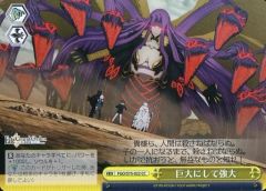 [중고]바이스슈발츠 FGO/S75-022[CC]: 거대하게 해 강대